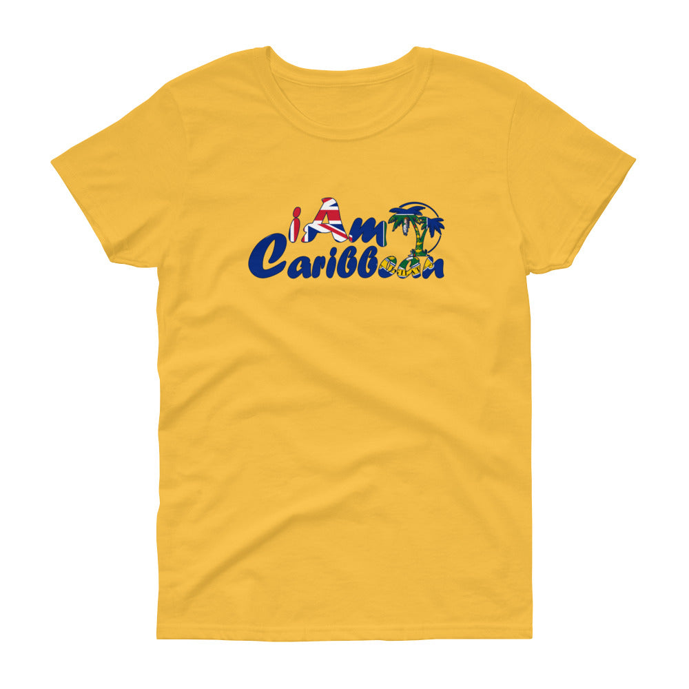 Signature Graphic Women's short sleeve t-shirt - British Virgin Islands